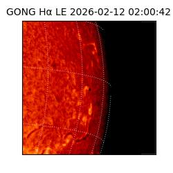 gong - 2026-02-12T02:00:42