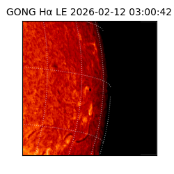 gong - 2026-02-12T03:00:42