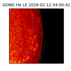 gong - 2026-02-12T04:00:42