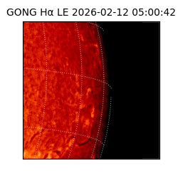 gong - 2026-02-12T05:00:42