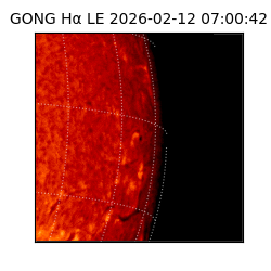 gong - 2026-02-12T07:00:42