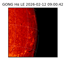 gong - 2026-02-12T09:00:42
