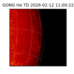gong - 2026-02-12T11:00:22
