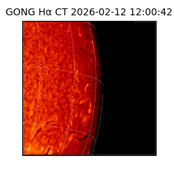 gong - 2026-02-12T12:00:42
