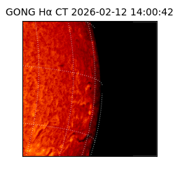 gong - 2026-02-12T14:00:42