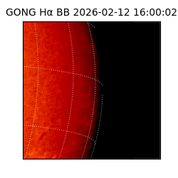 gong - 2026-02-12T16:00:02
