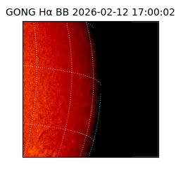 gong - 2026-02-12T17:00:02