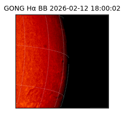 gong - 2026-02-12T18:00:02