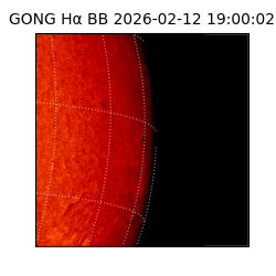 gong - 2026-02-12T19:00:02