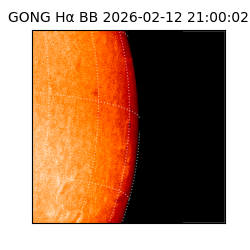 gong - 2026-02-12T21:00:02