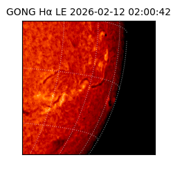 gong - 2026-02-12T02:00:42