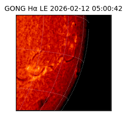 gong - 2026-02-12T05:00:42