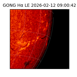 gong - 2026-02-12T09:00:42