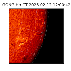 gong - 2026-02-12T12:00:42