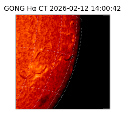 gong - 2026-02-12T14:00:42