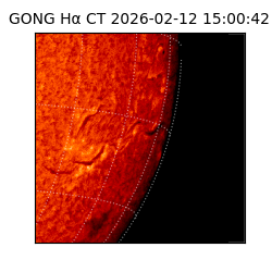 gong - 2026-02-12T15:00:42