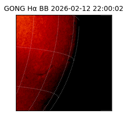 gong - 2026-02-12T22:00:02