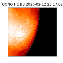 gong - 2026-02-12T23:17:02