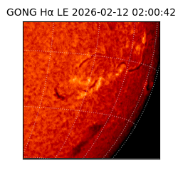 gong - 2026-02-12T02:00:42