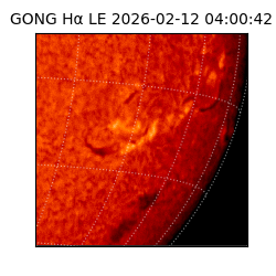 gong - 2026-02-12T04:00:42