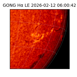 gong - 2026-02-12T06:00:42