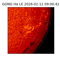 gong - 2026-02-12T09:00:42