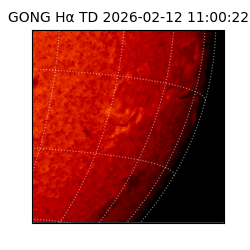 gong - 2026-02-12T11:00:22