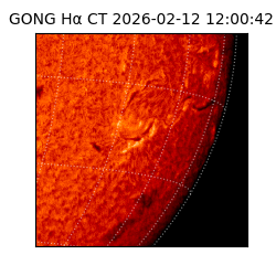 gong - 2026-02-12T12:00:42
