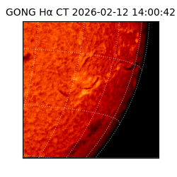 gong - 2026-02-12T14:00:42