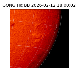 gong - 2026-02-12T18:00:02