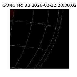 gong - 2026-02-12T20:00:02