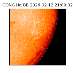 gong - 2026-02-12T21:00:02