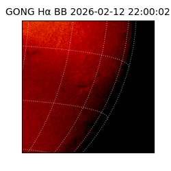 gong - 2026-02-12T22:00:02