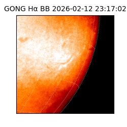 gong - 2026-02-12T23:17:02