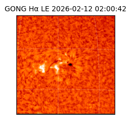 gong - 2026-02-12T02:00:42