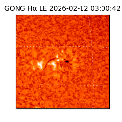 gong - 2026-02-12T03:00:42