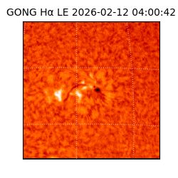 gong - 2026-02-12T04:00:42