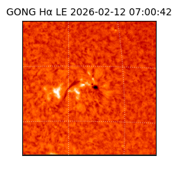 gong - 2026-02-12T07:00:42