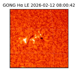 gong - 2026-02-12T08:00:42