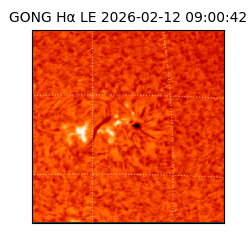 gong - 2026-02-12T09:00:42