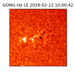 gong - 2026-02-12T10:00:42