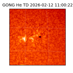 gong - 2026-02-12T11:00:22