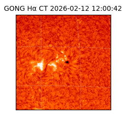 gong - 2026-02-12T12:00:42