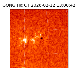 gong - 2026-02-12T13:00:42