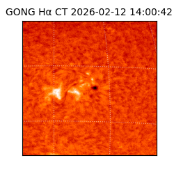 gong - 2026-02-12T14:00:42