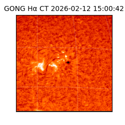 gong - 2026-02-12T15:00:42