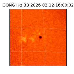 gong - 2026-02-12T16:00:02