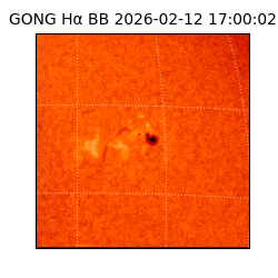 gong - 2026-02-12T17:00:02