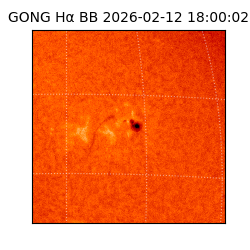 gong - 2026-02-12T18:00:02