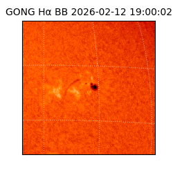 gong - 2026-02-12T19:00:02